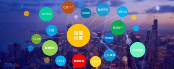 智慧1.jpg
